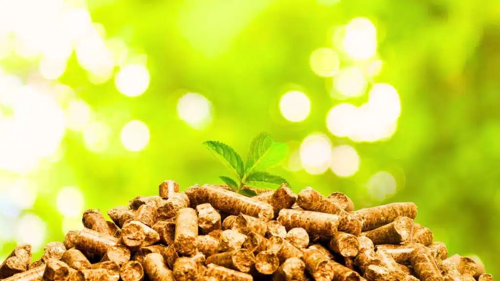 Tendances prix pellets 2024, Marché des granulés bois, Fluctuations prix pellets, Chauffage écologique pellets, Analyse marché pellets, Prix granulés août 2024, Stratégie achat pellets